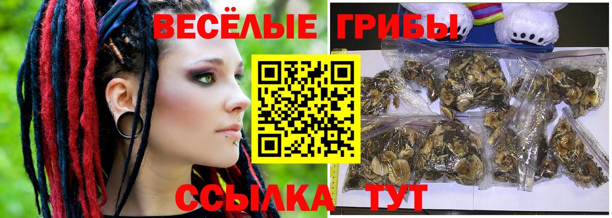 Галлюциногенные грибы MAGIC MUSHROOMS  Галлюциногенные грибы мицелий  как найти наркотики  Тайшет  Вход с VPN 