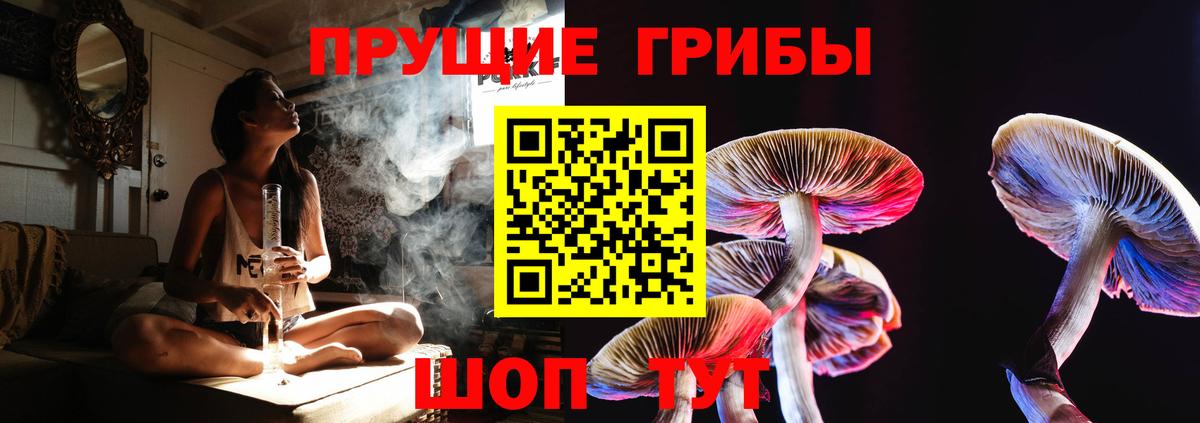 Псилоцибиновые грибы MAGIC MUSHROOMS Тайшет